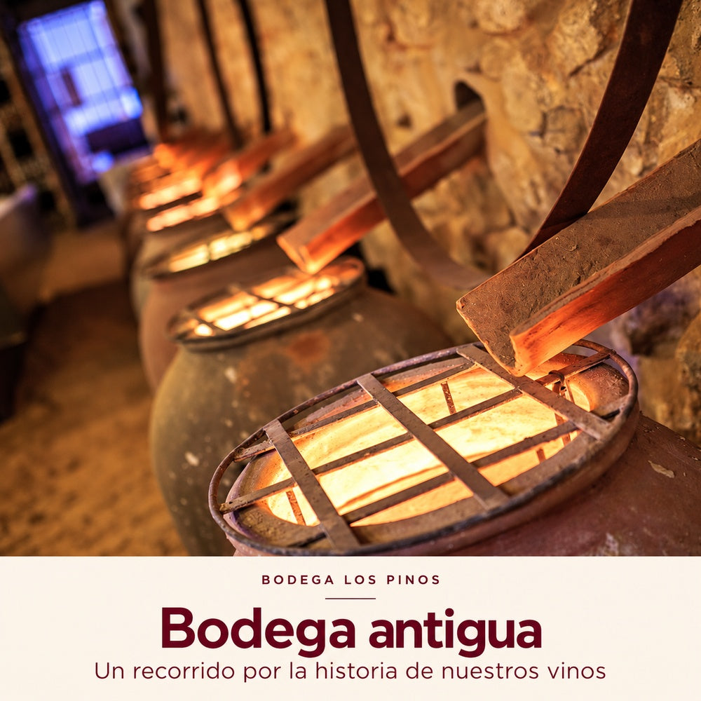 Visita la bodega - Pack 2 personas