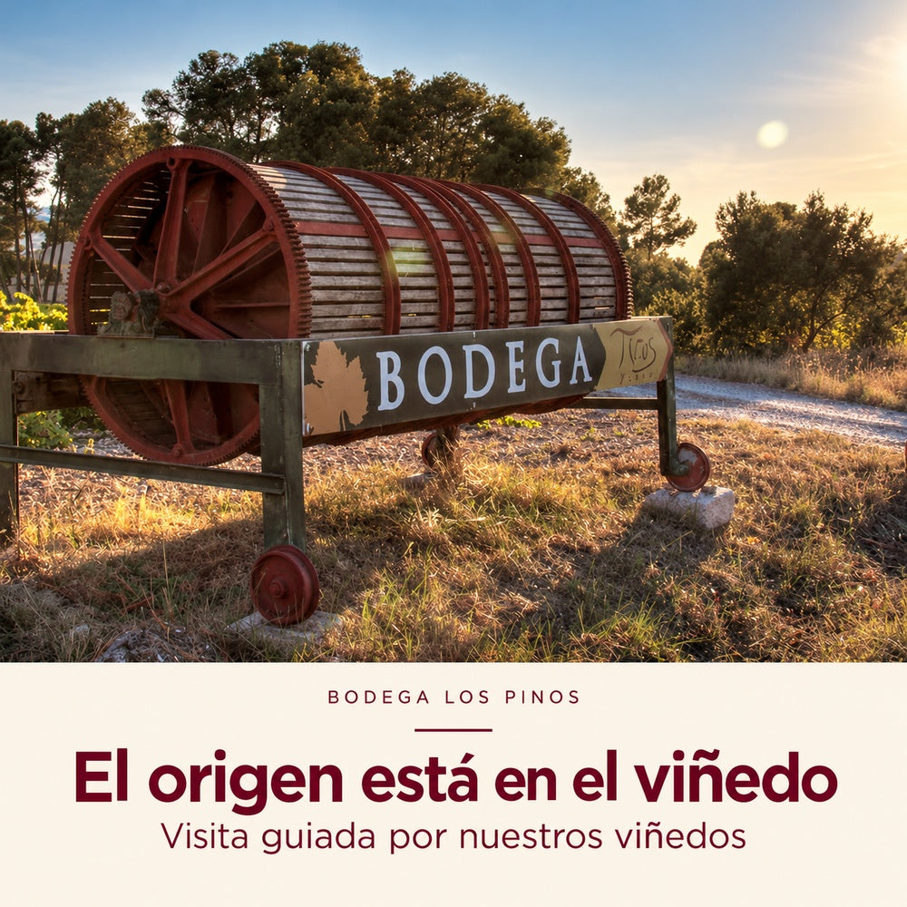Visita la bodega - Pack 2 personas