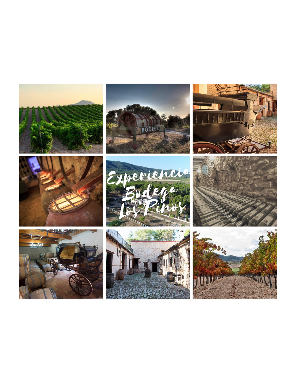 Visita la bodega - Pack 2 personas