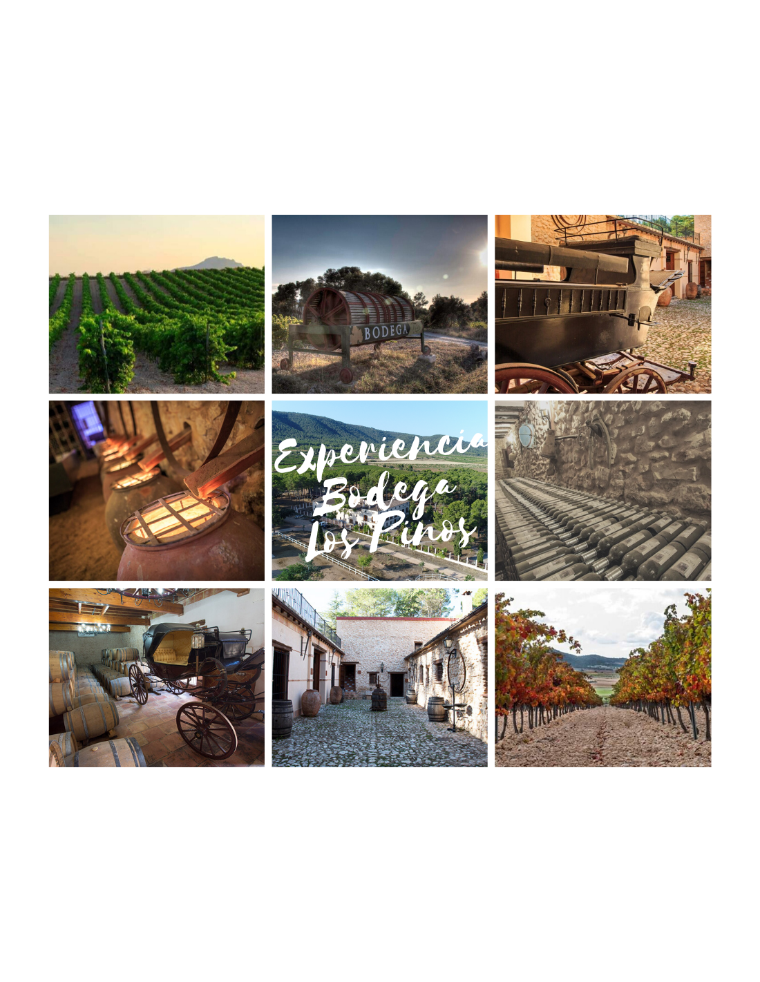 Visita la bodega - Pack 2 personas